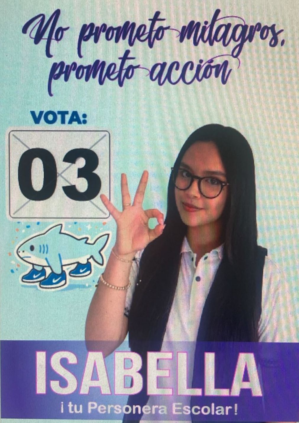 Descripción de la imagen